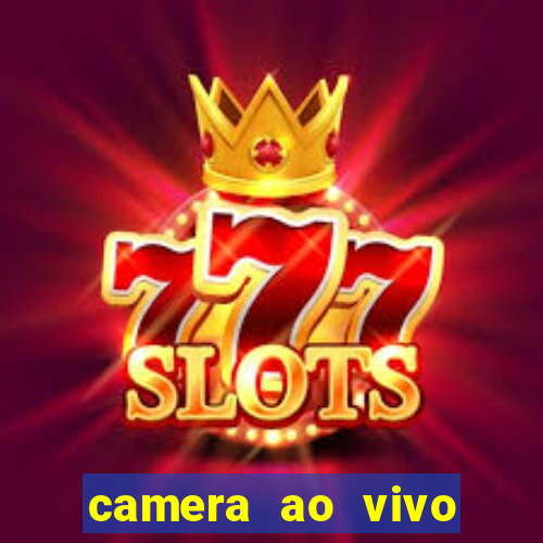 camera ao vivo porto de galinhas